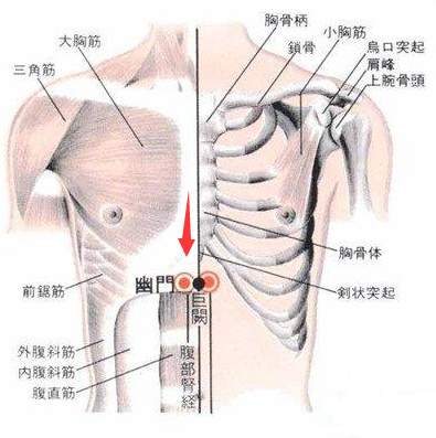 圣透灸取穴法 1步:仰卧位 2步:沿前正中线向下触摸,找出胸骨体