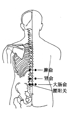 所属经络:督脉 定位:在腰部,当后正中线上,第4腰椎棘突下凹陷中 圣透