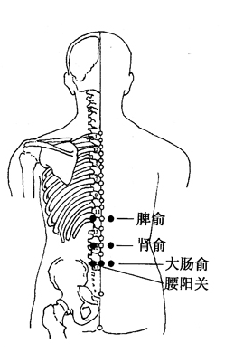 圣透灸-3腰阳关穴