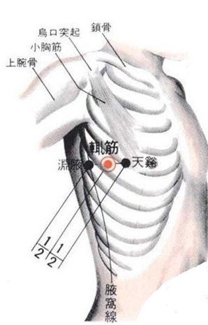 所属经络:足少阳胆经 定位: 在侧胸部,渊腋前1寸,平乳头,第4肋间隙中.
