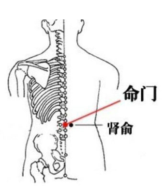 20—30分钟每柱 经验应用: ①现代常用于治疗性功能障碍,前列腺炎