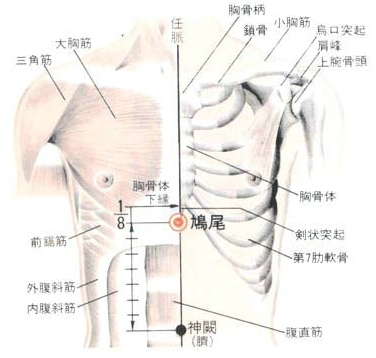 从胸剑结合部沿前正中线直下量1横指处,即为本穴.